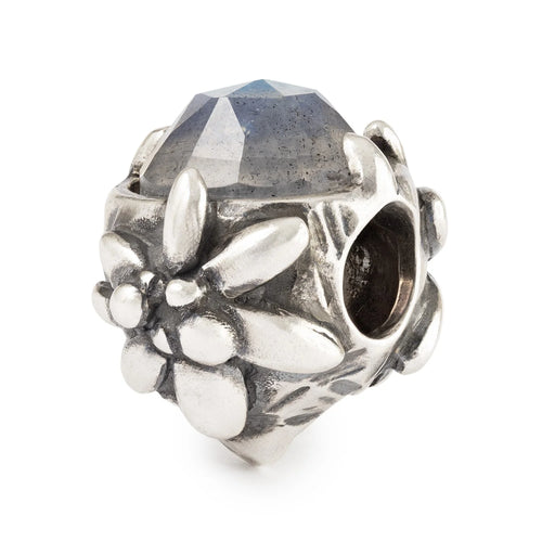 Alpenstern Edelweiss - People's Bead 2025