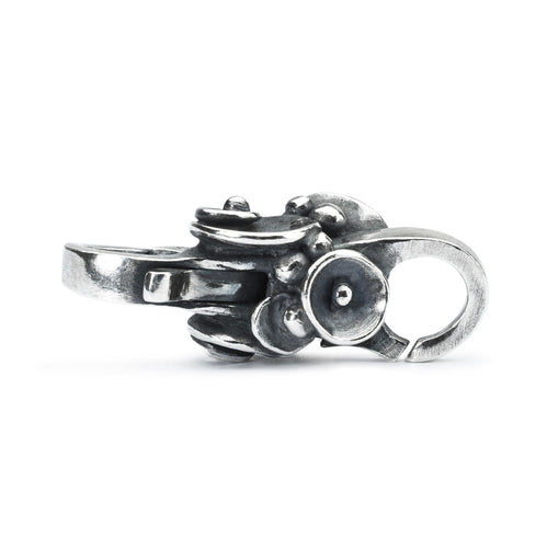Seerosen Verschluss | Water Lily Lock