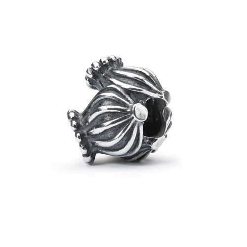 Schutz | Shelter Bead