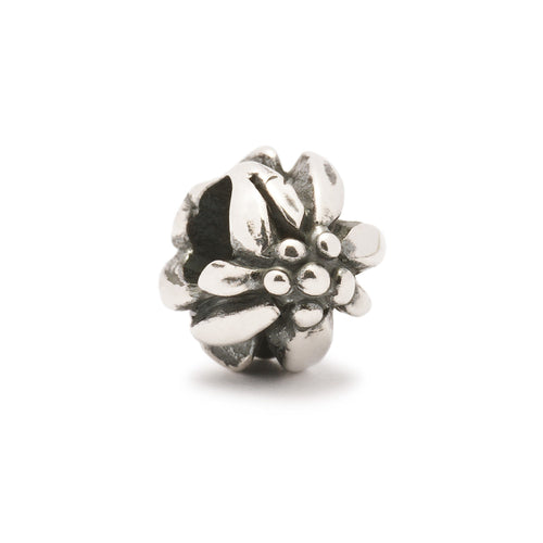 Trollbeads Gebirgsblume | Mountain Flower Bead | Artikelnummer: TAGBE-10012 | Hauptwerkstoff: Silber | Designer: Søren Nielsen