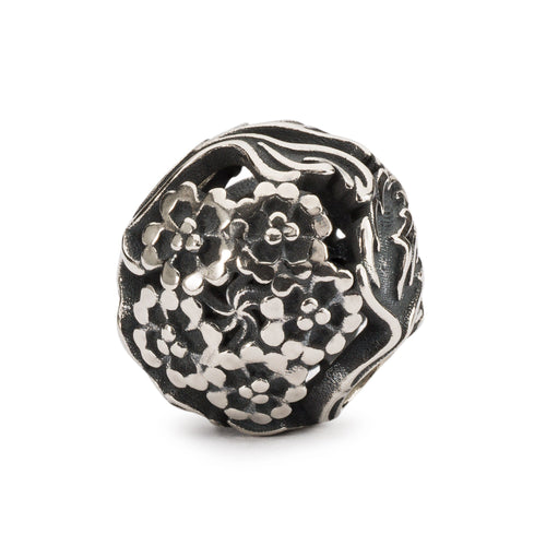 Eisenkraut | Verbena Bead