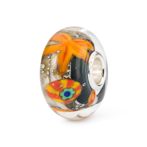 Harmonie des Meeres | Sea Fun