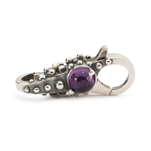 Nimbus Verschluss | Purple & Green Lock